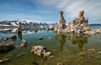 高考后留学新西兰都可以选择哪些专业？