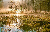 留学加拿大护理硕士要求介绍