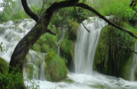 申请英国留学的主要内容都有哪些？