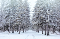 留学英国考试制度介绍