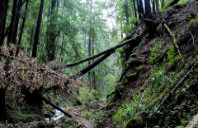 留学英国雅思要求介绍（上）