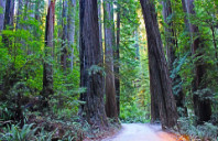 英国留学预科和语言学校有什么区别？