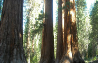 英国公立学校和私立学校的区别