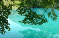 留学英国本科预科都有哪些要求呢？