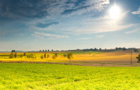英国留学预科院校介绍