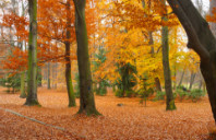 留学英国需要办理哪些手续？（下）