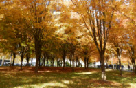 英国艺术留学择校因素讲解