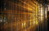 留学美国达特茅斯学院都有哪些优势？（下）