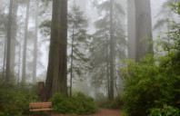 面试美国法学院技巧介绍