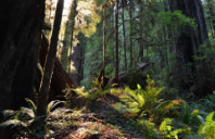 美国留学人工还能专业院校推荐