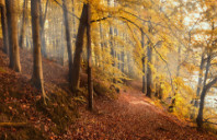 留学美国人工智能专业就业方向讲解