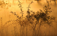 留学美国酒店管理专业条件介绍