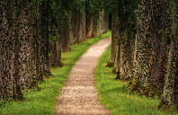 留学美国酒店管理专业优势介绍