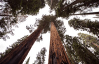 美国热门院校酒店管理专业留学条件介绍（上）