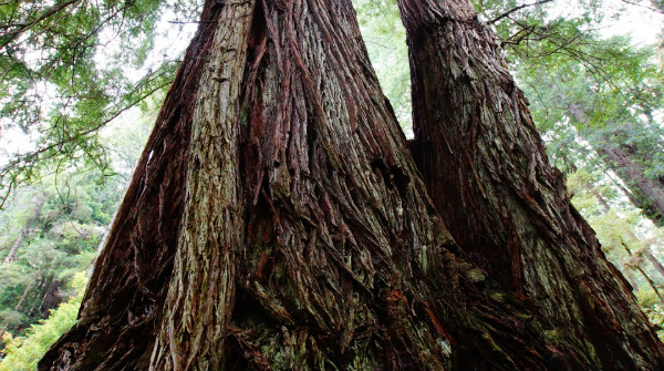 美国热门院校酒店管理专业留学条件介绍（下）