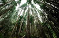 美国市场营销专业都有哪些院校值得选择？