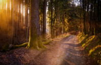 留学美国迈阿密大学海洋专业就业如何？