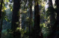 留学美国数学专业就业方向介绍