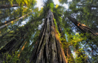 留学美国数学专业优秀院校推荐