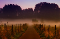 留学美国就业好的三个专业