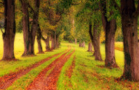 美国哪些专业毕业后就业快？——文科类