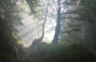 美国哪些专业毕业后就业快？——理科类