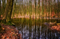 留学美国物理专业都有哪些分支？