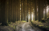 留学美国公共关系专业如何？