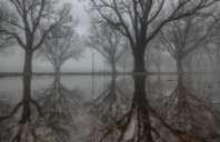 留学美国公共关系专业院校推荐