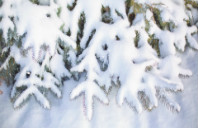 斯坦福大学心理学专业研究领域介绍