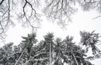 留学美国斯坦福大学优势介绍