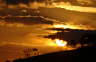 留学罗切斯特大学心理学如何？