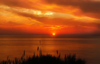 留学美国会计专业院校推荐