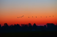 申请美国心理学专业条件介绍