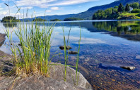 留学美国建筑学专业怎么申请