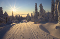 申请澳洲昆士兰大学条件介绍