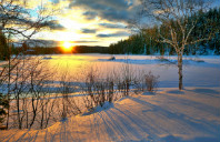 留学澳洲护理专业院校推荐