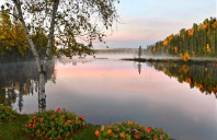 留学澳洲热门专业介绍