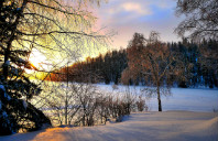 留学澳洲优势院校介绍