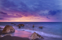 留学阿莱德莱大学葡萄酒专业介绍