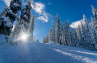 申请留学墨尔本大学条件介绍