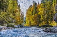 澳洲留学都有哪些热门专业？（下）