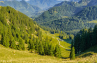 留学澳洲都有哪些低费用大学?