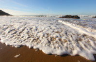 留学澳洲专升硕项目如何?(下)