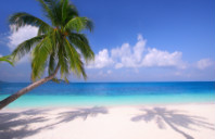 留学澳洲人力资源管理专业硕士如何？（下）