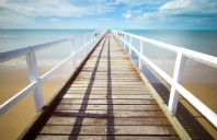 留学新西兰本科都有哪些优势专业？（上）