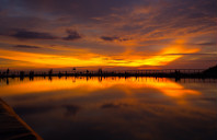 留学新西兰惠林顿理工学院强势专业介绍