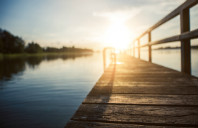 留学新西兰林肯大学葡萄酒专业介绍（下）