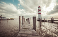 留学新西兰如何选择适合的专业？