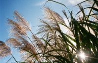 新西兰留学费用介绍